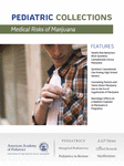 Book cover for Medical Risks of Marijuana