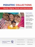 Book cover for Obesity: Stigma, Trends, and Interventions