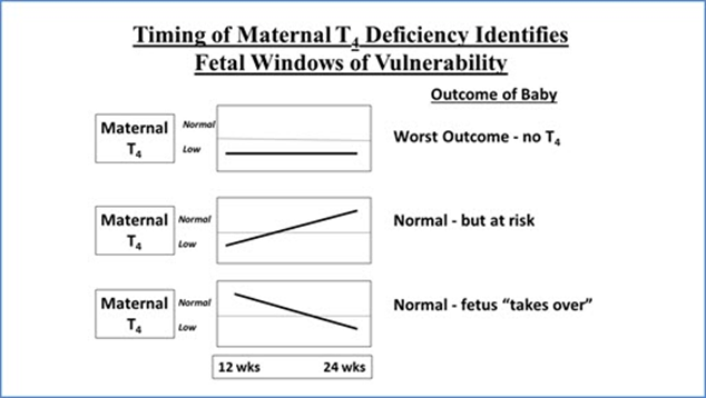 Figure. See the July 2016 NeoReviews article “Transient Hypothyroxinemia of Prematurity.”