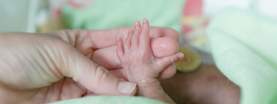 Growth of Infants Born With Extremely Low Birth Weight: Do They Catch ...