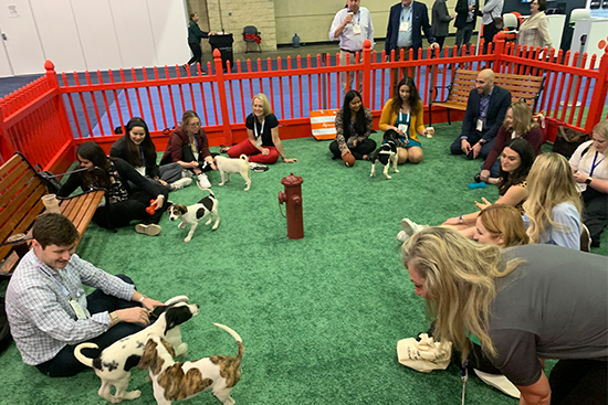Product theaters, massages and puppies: Exhibit Hall has it all | AAP ...