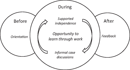 Conceptual model for supporting intern learning at night.