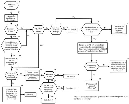 Management of Hyperbilirubinemia in the Newborn Infant 35 or More Weeks ...