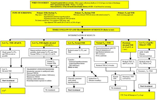FIGURE 1. Newborn screening for CH. a Management of CH is summarized in Table 1.