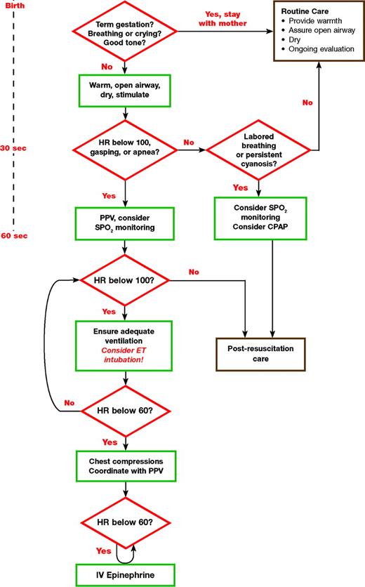 FIGURE. Newborn Resuscitation Algorithm.