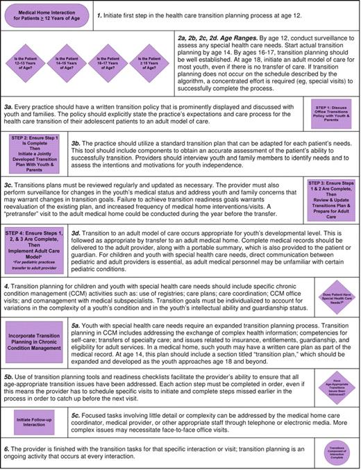 Supporting the Health Care Transition From Adolescence to Adulthood in ...