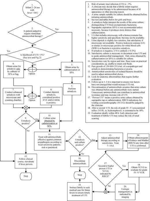 APPENDIX. Clinical practice guideline algorithm.