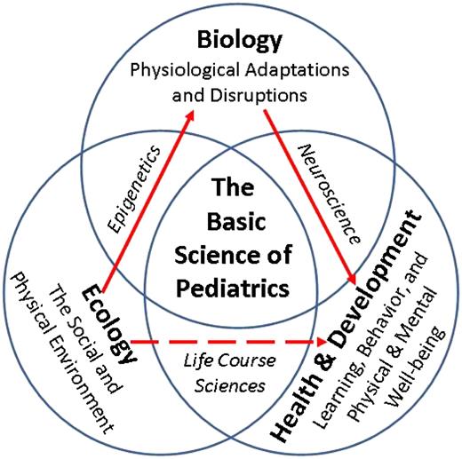 FIGURE 1. The basic science of pediatrics. An emerging, multidisciplinary science of development supports an EBD framework for understanding the evolution of human health and disease across the life span. In recent decades, epidemiology, developmental psychology, and longitudinal studies of early childhood interventions have demonstrated significant associations (hashed red arrow) between the ecology of childhood and a wide range of developmental outcomes and life course trajectories. Concurrently, advances in the biological sciences, particularly in developmental neuroscience and epigenetics, have made parallel progress in beginning to elucidate the biological mechanisms (solid arrows) underlying these important associations. The convergence of these diverse disciplines defines a promising new basic science of pediatrics.