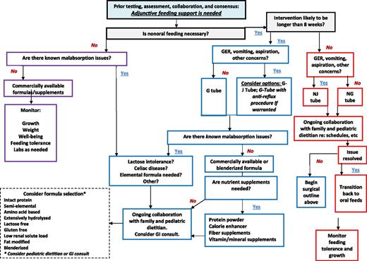 FIGURE 2. Decisions in adjunctive feedings of the child/adolescent with developmental disabilities.