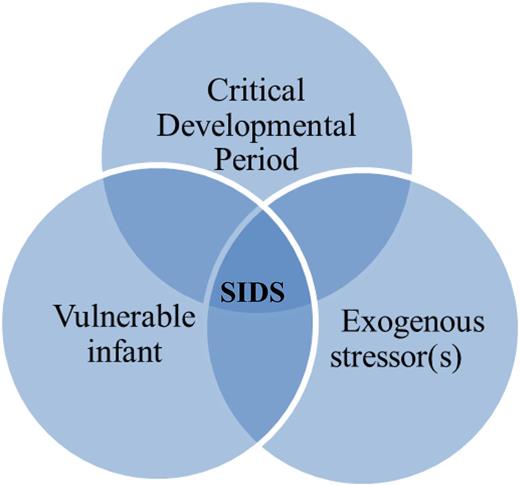 SIDS and Other Sleep-Related Infant Deaths: Evidence Base for 2016 ...