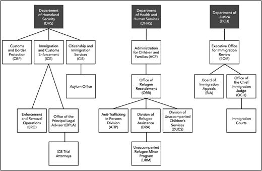 FIGURE 1. Restructuring of INS after September 11, 2001.19 (The Anti-Trafficking in Persons Organization is now called the Office on Trafficking in Persons, and the Division of Unaccompanied Children’s Services is now called the Division of Children’s Services.) Reproduced with permission: Byrne O, Miller E. The Flow of Unaccompanied Children Through the Immigration System. New York, NY: Vera Institute of Justice; 2012:7