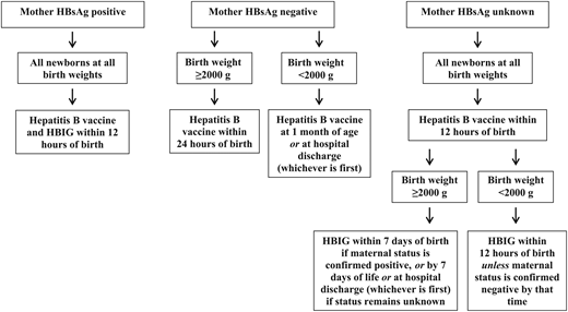 Elimination of Perinatal Hepatitis B: Providing the First Vaccine Dose ...