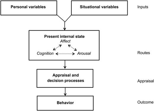 FIGURE 3. A representative social-cognitive information processing model: the General Aggression Model.16