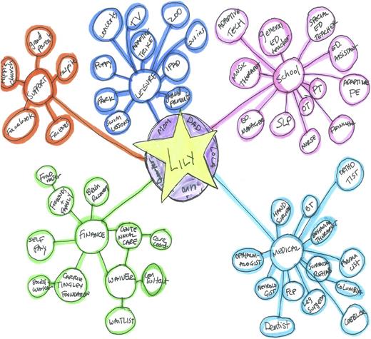 FIGURE 1. From the parent: “A care map for Lily at age 9. Notice that, in addition to being incredibly chaotic in appearance, there are some key areas that are 58 professionals or supporting relationships being managed by the parent in the care of a child with medical complexity. One year later, those relationships have been reduced to 46 through careful consultation with the child’s PCP and trusted providers. There were unnecessary redundancies in care that were never seen before and the care map created a clear roadmap to remove excess activities, bills, and obligations. Additionally, the parents resigned from many of the advocacy activities that did not directly appeal to their interests and focused on increasing leisure and recreation. The child’s condition didn’t change at all, but the family was able to visualize and then build a more organized life for the entire family.” Coord., coordinator; ED, education; OT, occupational therapy; PCP, primary care physician; PE, physical education; PT, physical therapy; SLP, speech-language pathologist; TV, television.