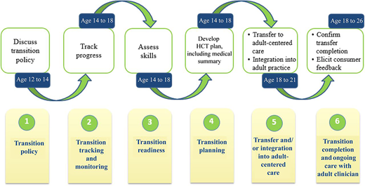 Timeline for introducing the Six Core Elements into pediatric practices.