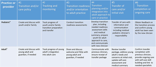 Summary of Six Core Elements approach for pediatric and adult practices. aProviders that care for youth and/or young adults throughout the life span can use both the pediatric and adult sets of core elements without the transfer process components.