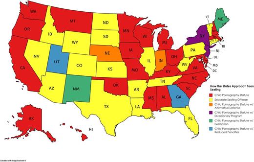 FIGURE 2. How states approach teen sexting: map. (Reprinted with permission from Ken Stalter, JD.)