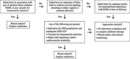 FIGURE 2. EOS risk assessment among infants born ≤34 weeks’ gestation. a Intraamniotic infection should be considered when a pregnant woman presents with unexplained decreased fetal movement and/or there is sudden and unexplained poor fetal testing. b Lumbar puncture and CSF culture should be performed before initiation of empiric antibiotics for infants who are at the highest risk of infection unless the procedure would compromise the infant’s clinical condition. Antibiotics should be administered promptly and not deferred because of procedural delays. c Adequate GBS IAP is defined as the administration of penicillin G, ampicillin, or cefazolin ≥4 hours before delivery. d For infants who do not improve after initial stabilization and/or those who have severe systemic instability, the administration of empiric antibiotics may be reasonable but is not mandatory.