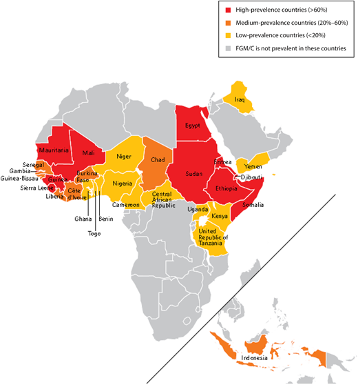 Diagnosis, Management, and Treatment of Female Genital Mutilation or ...