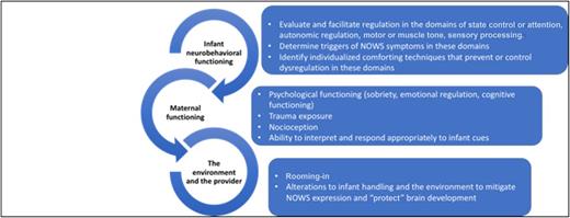 Neonatal Opioid Withdrawal Syndrome | Pediatrics | American Academy of ...