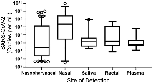 FIGURE 5. VL comparison by site of detection. Comparison of VL at different sites did not reveal a significant difference between sites. The midlines represent medians, and the boxes represent 95% confidence intervals. The whiskers represent the fifth to 95th percentile for the group, and outliers are represented by circles.
