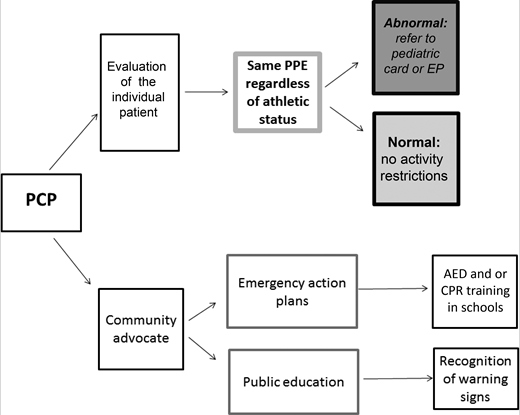 FIGURE 1. Flowchart revealing ideal role of the PCP in prevention of SCD in the young. EP, electrophysiologist.