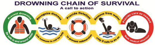 FIGURE 1. Drowning chain of survival. Adapted from Szpilman D, Webber J, Quan L, et al. Creating a drowning chain of survival. Resuscitation. 2014;85(9):1151.