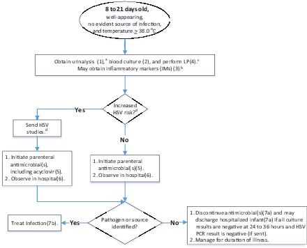 FIGURE 1. Algorithm for 8- to 21-day-old infants. a KAS references are shown in parentheses. b Laboratory values of inflammation are considered elevated at the following levels: (1) procalcitonin >0.5 ng/mL, (2) CRP >20 mg/L, and (3) ANC >4000 to 5200 per mm3. Although we recommend all infants in this age group have a complete sepsis workup, receive parenteral antimicrobial agents, and be monitored in a hospital, knowing IM results can potentially guide ongoing clinical decisions. c Send CSF for cell count, Gram stain, glucose, protein, bacterial culture, and enterovirus PCR (if available) if pleocytosis is present and during periods of increased local enterovirus prevalence. d HSV should be considered when there is a maternal history of genital HSV lesions or fevers from 48 hours before to 48 hours after delivery and in infants with vesicles, seizures, hypothermia, mucous membrane ulcers, CSF pleocytosis in the absence of a positive Gram stain result, leukopenia, thrombocytopenia, or elevated alanine aminotransferase levels. For further discussion, see the current Red Book. Recommended HSV studies are CSF PCR; HSV surface swabs of the mouth, nasopharynx, conjunctivae, and anus for an HSV culture (if available) or PCR assay; alanine aminotransferase; and blood PCR.