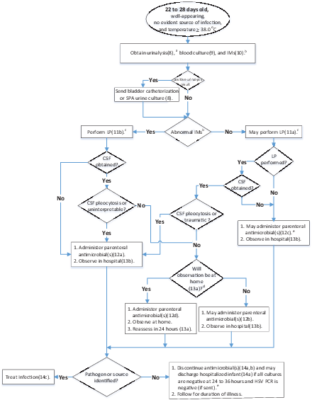 FIGURE 2. Algorithm for 22- to 28-day-old infants. a KAS references are shown in parentheses. b If available, procalcitonin should be obtained along with ANC or CRP. If procalcitonin is unavailable, both ANC and CRP should be obtained, and a temperature >38.5°C is considered abnormal. IMs are considered abnormal at the following levels: (1) temperature >38.5°C, (2) procalcitonin >0.5 ng/mL, (3) CRP >20 mg/L, and (4) ANC >4000 5200 per mm3. c LP is recommended before administration of antimicrobial agents because interpreting CSF after the administration of antimicrobial agents is difficult. However, the risk of meningitis in 22- to 28-day-old infants is lower than that in infants <22 days old in several studies. Therefore, in some circumstances, clinicians may elect to defer an LP and initiate antimicrobial agents, recognizing the potential risk of partially treated meningitis. Send CSF for cell count, Gram stain, glucose, protein, bacterial culture, and enterovirus PCR (if available) if pleocytosis is present and during periods of increased enterovirus prevalence. HSV can occur in this age group. HSV should be considered in infants with vesicles, seizures, hypothermia, mucous membrane ulcers, CSF pleocytosis in the absence of a positive Gram stain result, leukopenia, thrombocytopenia, or elevated alanine aminotransferase levels. For further discussion, see the current Red Book. Recommended HSV studies: CSF PCR; HSV surface swabs of mouth, nasopharynx, conjunctivae, and anus for HSV culture (if available) or PCR assay; alanine aminotransferase; and blood PCR. d Infant may be managed at home if parent and clinician agree that the following are present: reliable phone and transportation, parent willingness to observe and communicate changes in condition, and agreement to the infant being reevaluated in 24 hours. e If CSF is positive for enterovirus, clinicians may withhold or discontinue antimicrobial agents and discharge at 24 hours, provided they meet other criteria for observation at home.
