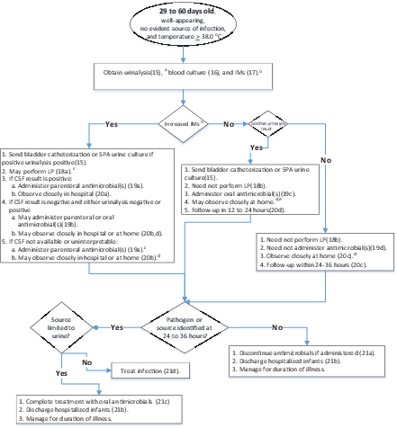 FIGURE 3. Algorithm for 29- to 60-day-old infants. a KAS references are shown in parentheses. b If available, procalcitonin should be obtained along with ANC or CRP. If procalcitonin is unavailable, both ANC and CRP should be obtained, and a temperature >38.5°C is considered abnormal. IMs are considered abnormal at the following levels: (1) temperature >38.5°C, (2) procalcitonin >0.5 ng/mL, (3) CRP >20 mg/L, (4) ANC >4000 to 5200/mm3. c Send CSF for cell count, Gram stain, glucose, protein, bacterial culture, and enterovirus PCR (if available) if CSF pleocytosis is present and during periods of increased local enterovirus prevalence. Although rare in this age group, HSV should be considered when there is a maternal history of genital HSV lesions and in infants with vesicles, seizures, hypothermia, mucous membrane ulcers, CSF pleocytosis in the absence of a positive Gram stain result, leukopenia, thrombocytopenia, or elevated alanine aminotransferase levels. For further discussion, see the current Red Book. Recommended HSV studies are CSF PCR; HSV surface swabs of mouth, nasopharynx, conjunctivae, and anus for HSV culture (if available) or PCR assay; alanine aminotransferase; and blood PCR. If CSF is unobtainable or uninterpretable, there are insufficient data to make a specific recommendation. Options include the following: observe without treatment of a period of time and, depending on infant clinical condition, repeat LP and/or laboratory markers; begin empirical antimicrobial agents and reassess in 24 hours on the basis of infant response and results of blood culture; if CSF is bloody or antimicrobial agents have previously been started, analysis by multiplex PCR can add additional information; consult with local a pediatric infectious disease specialist. d Infant may be managed at home if parent and clinician agree that the following are present: reliable phone and transportation, parent willingness to observe and communicate changes in condition, and agreement to the infant being reevaluated in 24 hours. e Most 29- to 60-day-old infants with negative IM and urinalysis results may be observed at home. However, hospital observation is an option for infants when there are barriers to follow-up.