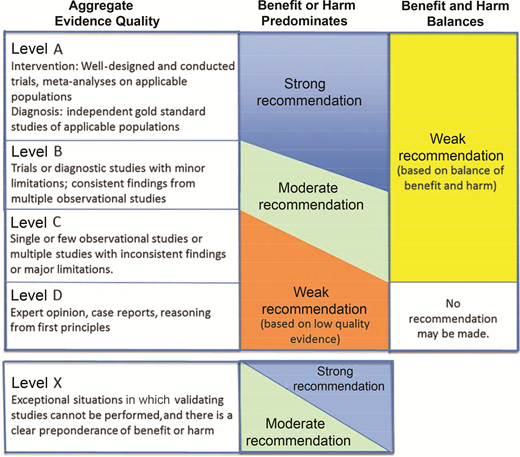 FIGURE 5. AAP rating of evidence and recommendations.