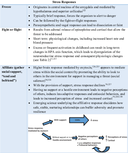 FIGURE 1. Stress responses. HPA, hypothalamic-pituitary-adrenal.