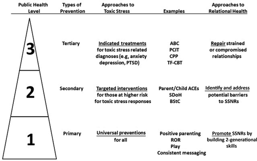 FIGURE 1. A public health approach to prevent childhood toxic stress is a public health approach to promote relational health. Many of the components of a public health approach to prevent, mitigate, and treat toxic stress responses (see examples) are also components of a public health approach to promote, identify barriers to, and repair SSNRs. The examples provided are illustrative and not intended to be comprehensive or exhaustive. See the Appendix for full descriptions of the abbreviations. BStC, biological sensitivity to context; PTSD, posttraumatic stress disorder. Adapted with permission from Garner AS, Saul RA. Thinking Developmentally: Nurturing Wellness in Childhood to Promote Lifelong Health. Itasca, IL: American Academy of Pediatrics; 2018