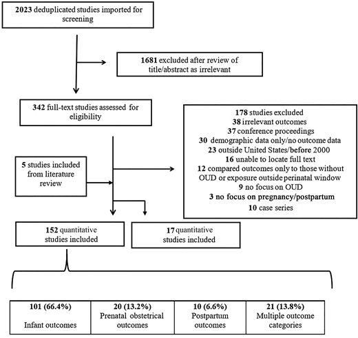Preferred Reporting Items for Systematic Reviews and Meta-Analyses review schematic: maternal-infant outcomes classification.