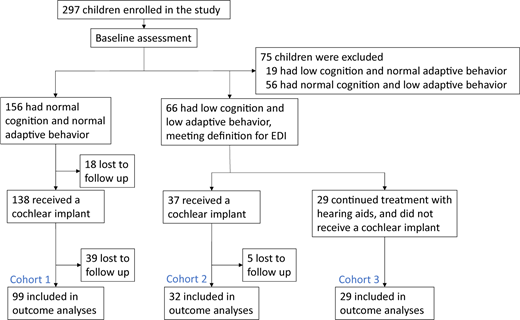 Enrollment, cohort assignment, and developmental outcome assessment.