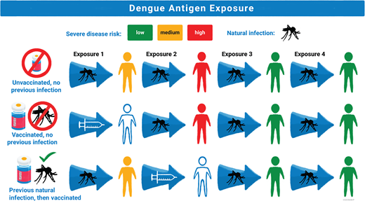 research article on dengue fever Proposed mechanism of Dengvaxia efficacy based on prior dengue antigen exposure. Risk of severe disease is represented by color (low = green, medium = yellow, and high = red). Exposure to dengue antigens is represented by mosquito figure for wild-type exposure and by a syringe for Dengvaxia exposure. The first row shows an unvaccinated individual exposed to 4 different dengue serotypes in their life with highest risk for severe disease with second infection and low risk of severe disease in the third and fourth infection. The second row shows an individual without previous dengue exposure who receives Dengvaxia, which acts as a silent primary infection, and then has higher risk for severe disease upon their first exposure to wildtype dengue, the equivalent of the second exposure to dengue antigen. The third row shows an individual with previous wild-type infection who receives Dengvaxia which acts as a silent second dengue exposure with lower risk for severe disease in subsequent exposures to wild-type dengue.