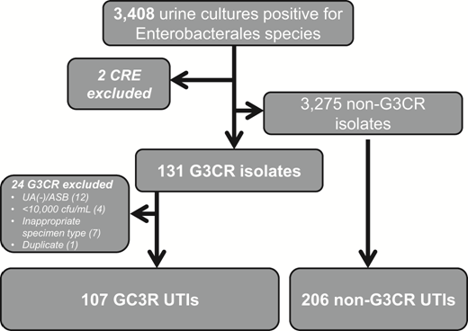 Flow diagram for cohort-control study of pediatric UTI due to third-generation cephalosporin-resistant Enterobacterales. ASB, asymptomatic bacteriuria; cfu/mL, colony-forming units per milliliter; CRE, carbapenem-resistant Enterobacterales; G3CR, third-generation cephalosporin-resistant; UA(-), urinalysis criterion not fulfilled; UTI, urinary tract infection.