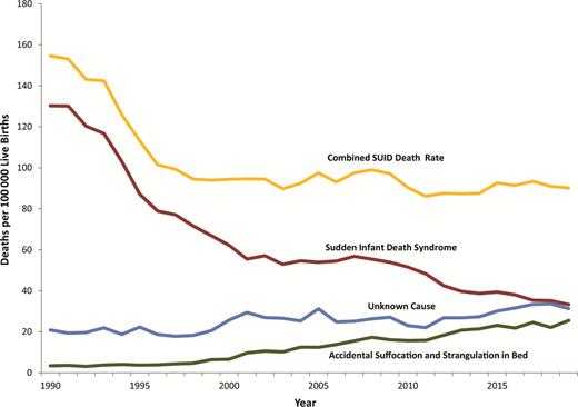 Trends in sleep-related infant deaths by cause from 1990 to 2019 from the Centers for Disease Control and Prevention and National Center for Health Statistics, National Vital Statistics System, Compressed Mortality File. Figure duplicated from http://www.cdc.gov/sids/data.htm.