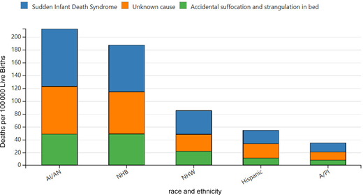 Sudden unexpected infant death by race and ethnicity from 2014 to 2018 from the Centers for Disease Control and Prevention and National Center for Health Statistics, National Vital Statistics System, Compressed Mortality File. Figure duplicated from http://www.cdc.gov/sids/data.htm. AI and AN, American Indian and Alaska Native; NHB, Non-Hispanic Black; NHW, Non-Hispanic White; A and PI, Asian and Pacific Islander.