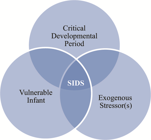 The Triple Risk Model proposes that SIDS occurs when an infant with intrinsic vulnerability (often manifested by impaired arousal, cardiorespiratory, and/or autonomic responses) undergoes an exogenous trigger event (eg, exposure to an unsafe sleeping environment) during a critical developmental period.40