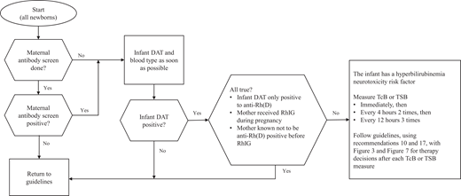 Approach to identify newborns with maternal anti-erythrocyte antibodies and to guide early management.15