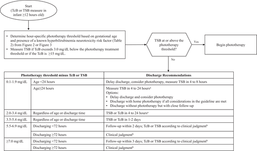 Flow diagram for infants during the birth hospitalization to determine postdischarge follow-up for infants who have not received phototherapy. aUse clinical judgment and shared decision making to determine when to repeat the bilirubin measure within this 4 to 24 hour time window.