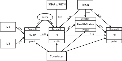 Structural equation model with key coefficients.