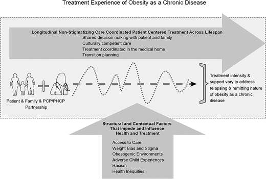 Treatment experience of obesity as a chronic disease (this figure illustrates how longitudinal care is important to help address this chronicity and to address and buffer the social and contextual factors that influence a person’s health).