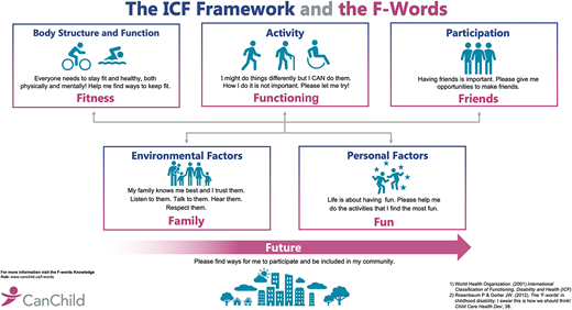 The ICF framework and the F-words.705 Used with permission.