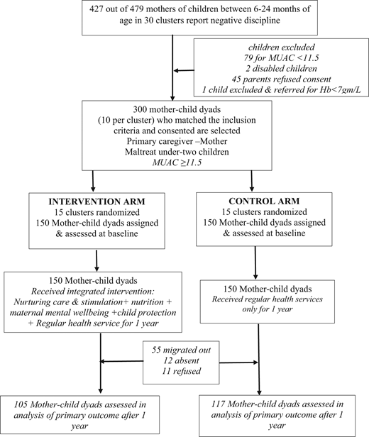 An Integrated Mother-Child Intervention on Child Development and ...