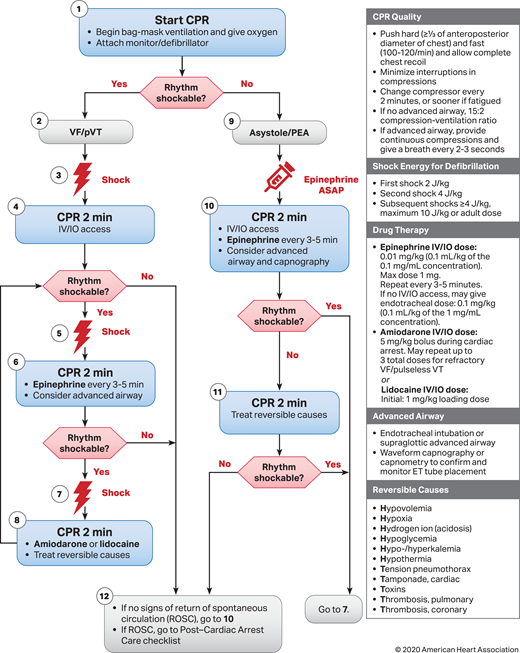 Infant Resuscitation Algorithm Considerations on the Use of Neonatal and Pediatric Resuscitation ...