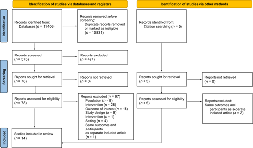 Preferred Reporting Items for Systematic Reviews and Meta-Analysis flow diagram.
