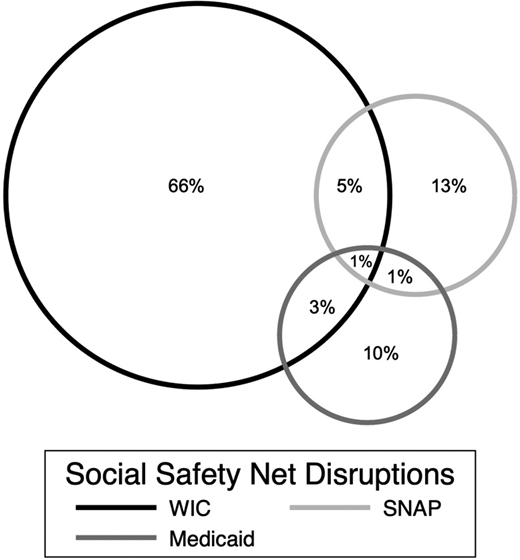 Venn diagram showing the distribution and overlap of disruptions in social safety net access among 1938 children in the Baltimore and Philadelphia samples who reported at least 1 past-year service disruption between 2011 and 2019. These 1938 children represent 21% of the total sample (N = 9344). In total, 1461 (75%) had disrupted access to WIC, 390 (20%) had disrupted access to SNAP, and 304 (16%) had disrupted access to Medicaid.