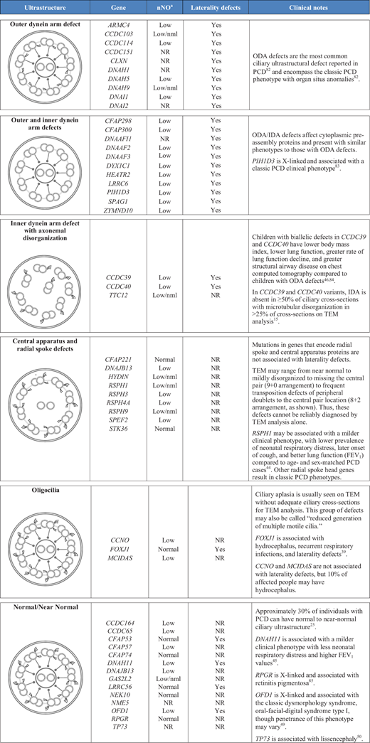 Primary Ciliary Dyskinesia | Pediatrics | American Academy of Pediatrics